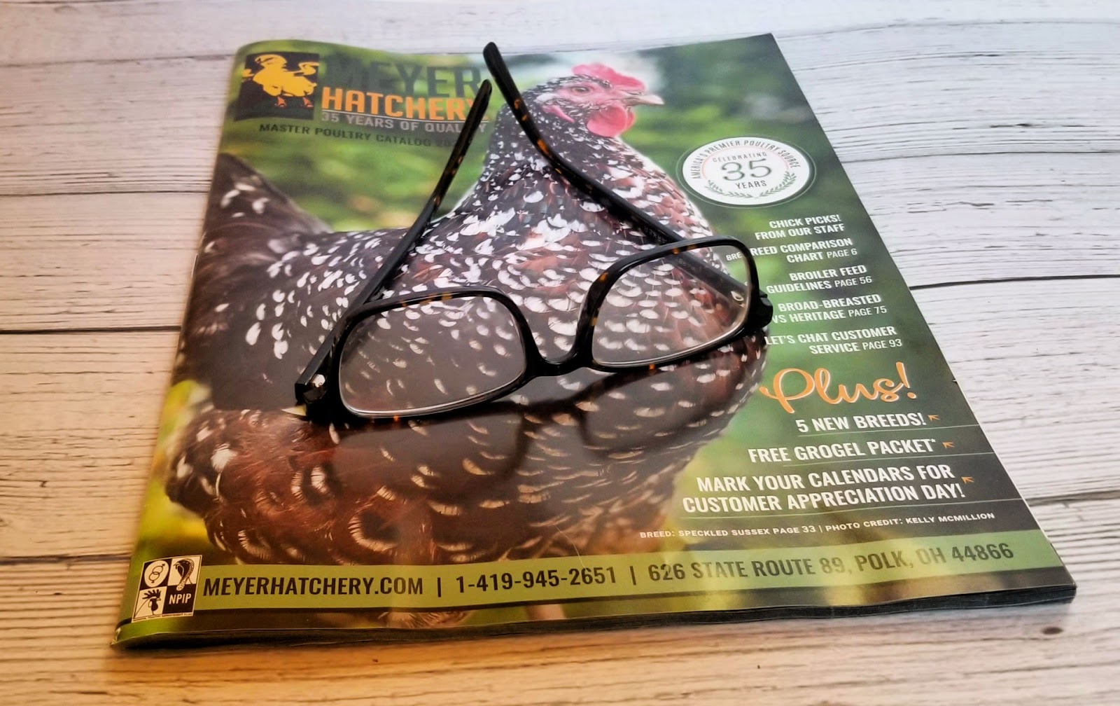 Mail Order Chicks The How, Why and When Fresh Eggs Daily® with Lisa