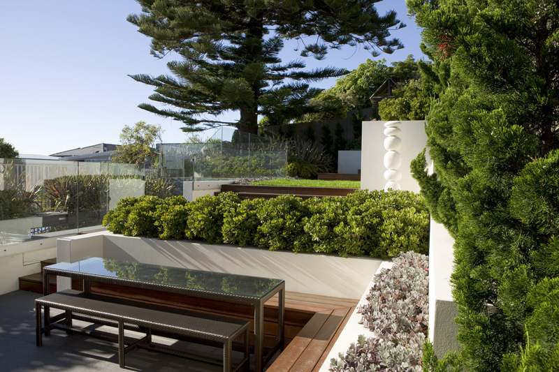 a curious gardener garden designer Peter Fudge