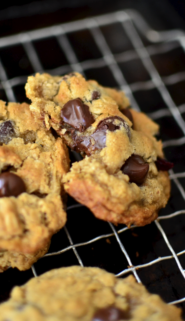 Yammie's Noshery The Big, Fat, Chewy Oatmeal Cookie