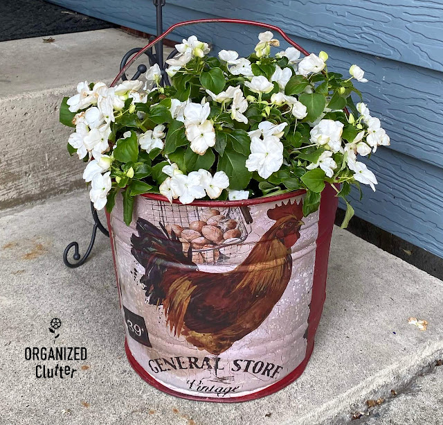 Photo of a rooster decor transfer on a red bucket used as an impatiens planter