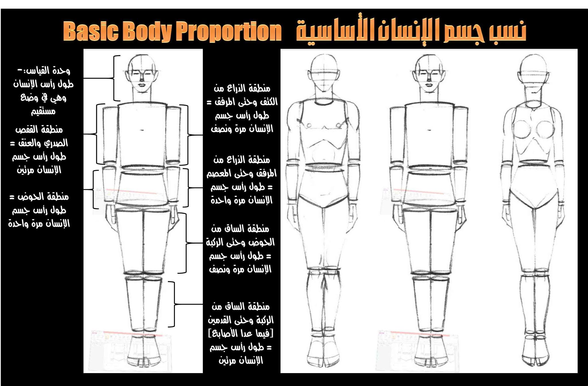 الرسم والتصوير مقدمة عن رسم الإنسان ورسم البورتريه ألوان