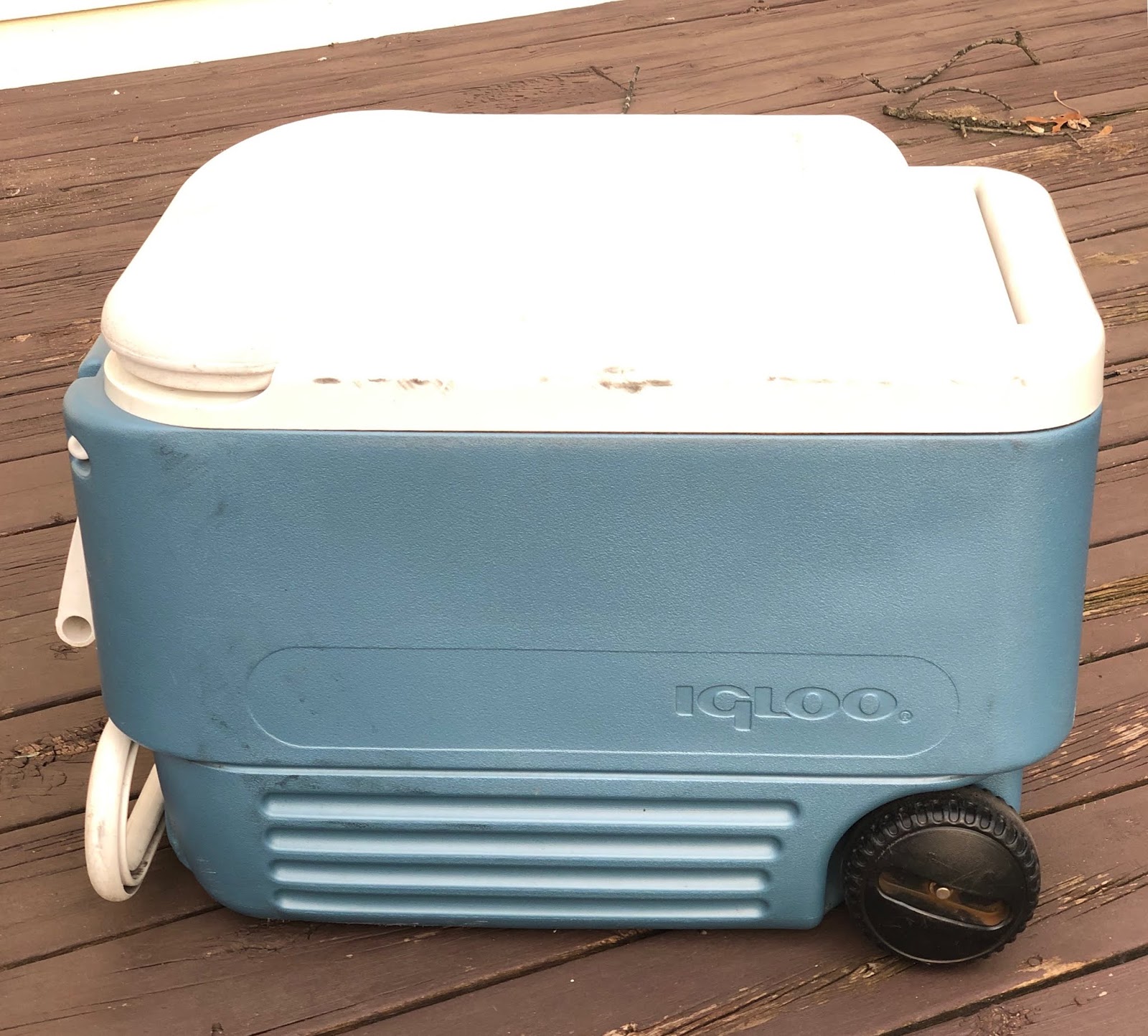 igloo maxcold vs yeti