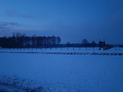 auschwitz pitch soccer wildlife crossing animal tracks train death