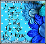 DT un peu fleur bleue