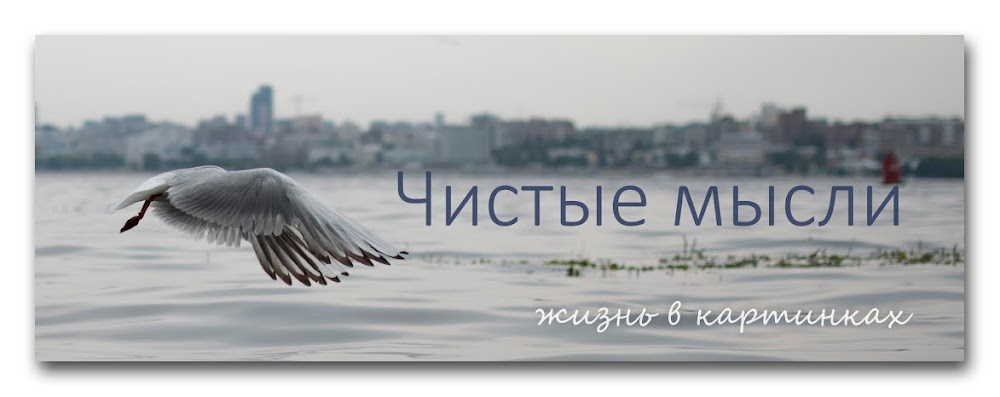 Мысль рождает действие. Чистые помыслы. Человек мечтает. Чистое мышление чистые мысли. Чистота мыслей.