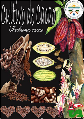 http://generalidades-cacao.blogspot.es/categoria/cacao/