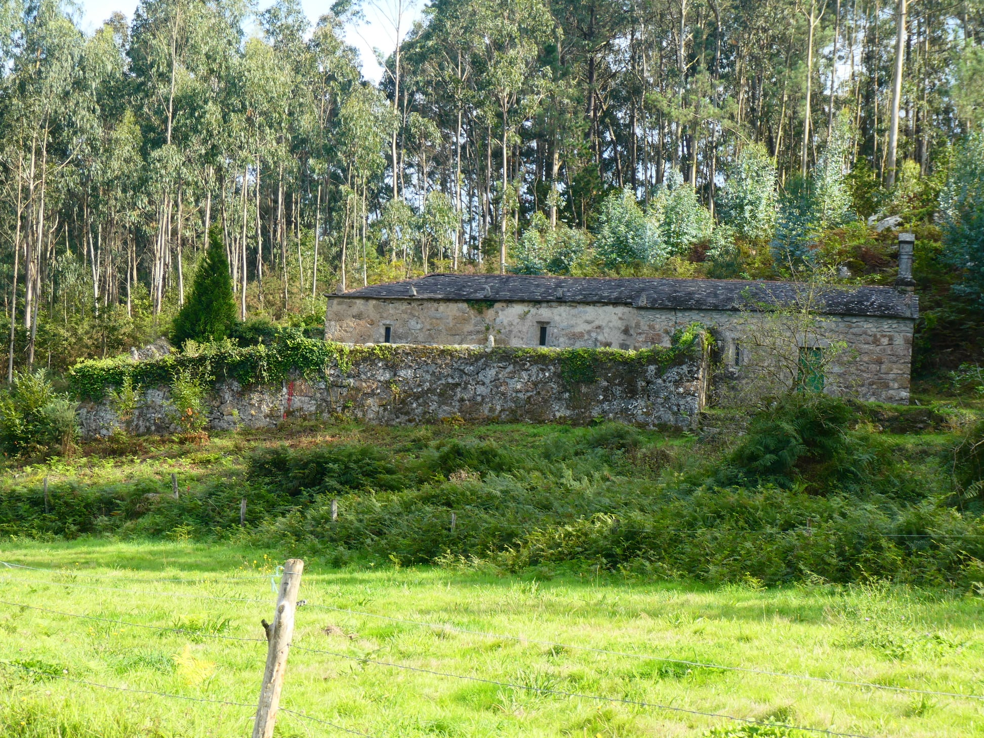 Xurde Morán VILOALLE, EL COTO DA