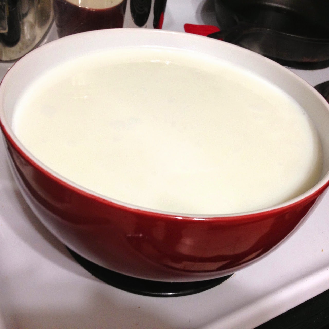 For the love of Home made Yogurt From Hot Milk to Yogurt