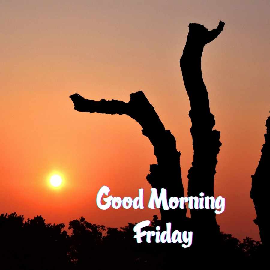 friday good morning images