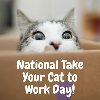 National Take Your Cat to Work Day HD Pictures, Wallpapers