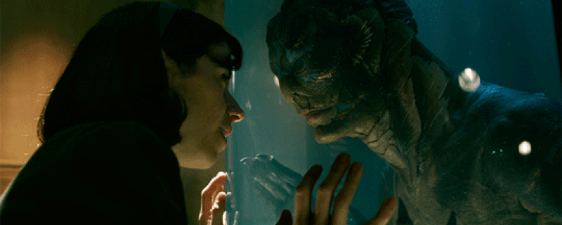 the shape of water