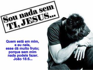 Resultado de imagem para João 15:5