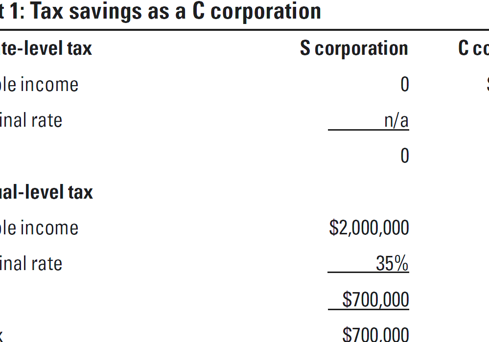 S Corporation S Corp Profit Distribution