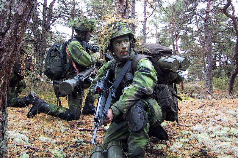 World Military and Police Forces: Sweden