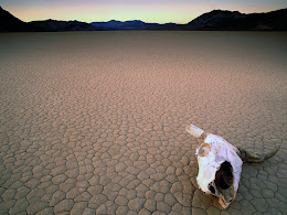 Death Valley - CA/NV