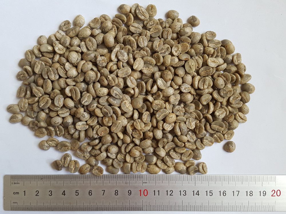 Green Coffee Bean Extract Powder