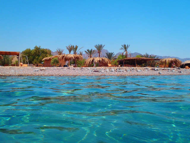 ماهى الأنشطة التي يمكنك القيام بها في المحمية؟