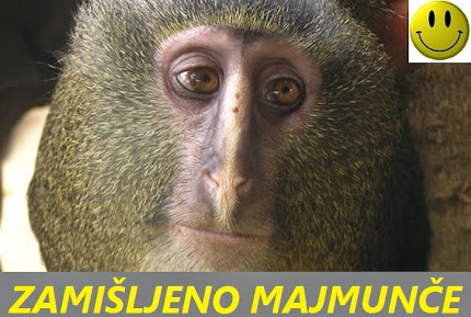 MAJMUNERO