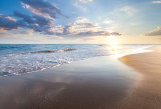 INDIA GET ITS FIRST BLUE FLAG BEACH AWARD BY FEE (FEE के द्वारा भारत को मिला पहला ब्लू फ्लैग बीच पुरुष्कार)