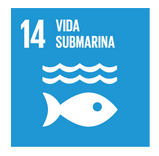 http://www.un.org/sustainabledevelopment/es/oceans/