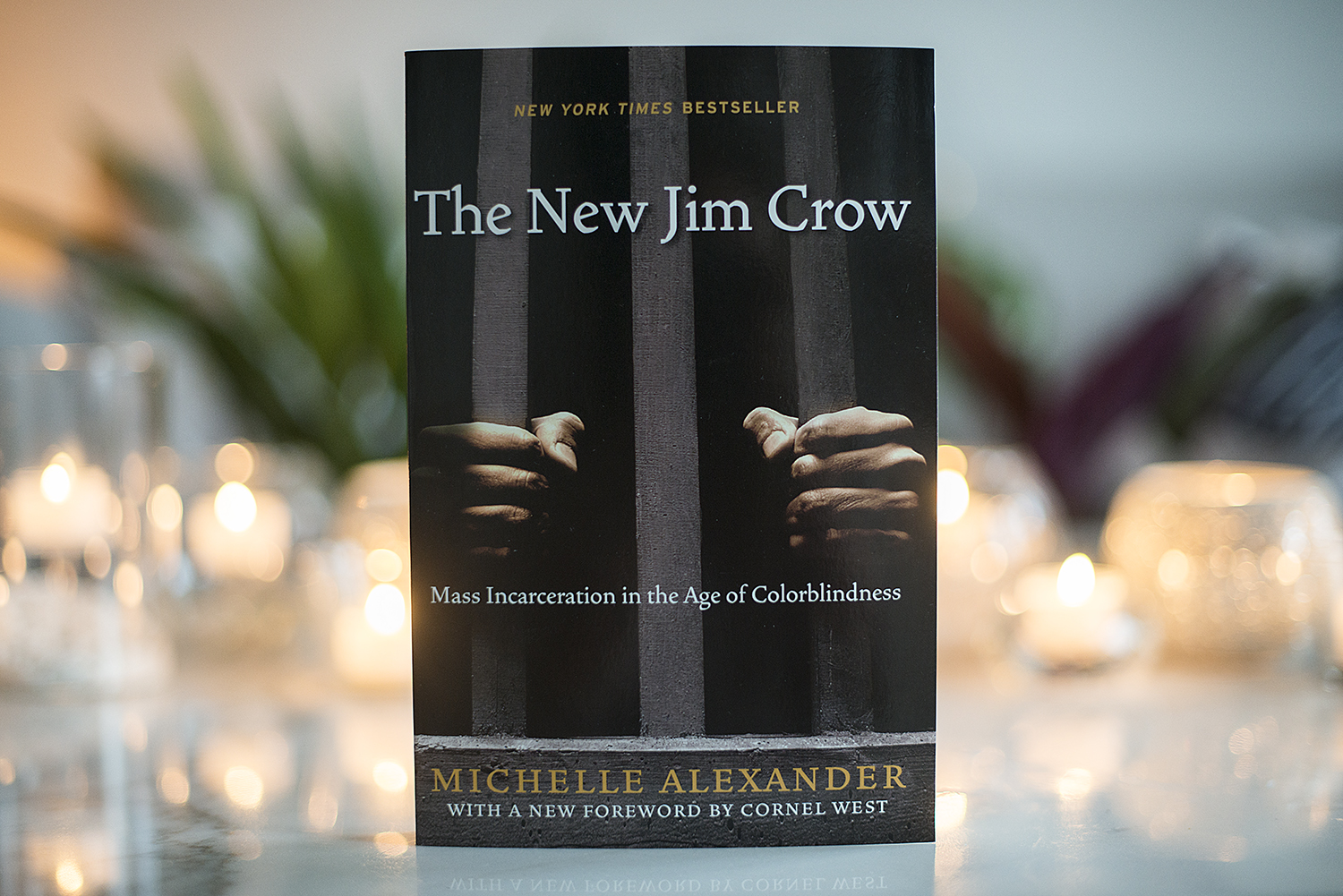 BOOK REVIEW: THE NEW JIM CROW BY MICHELLE ALEXANDER | The Book Castle