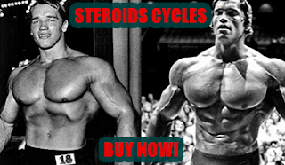 real steroid cycles for sale