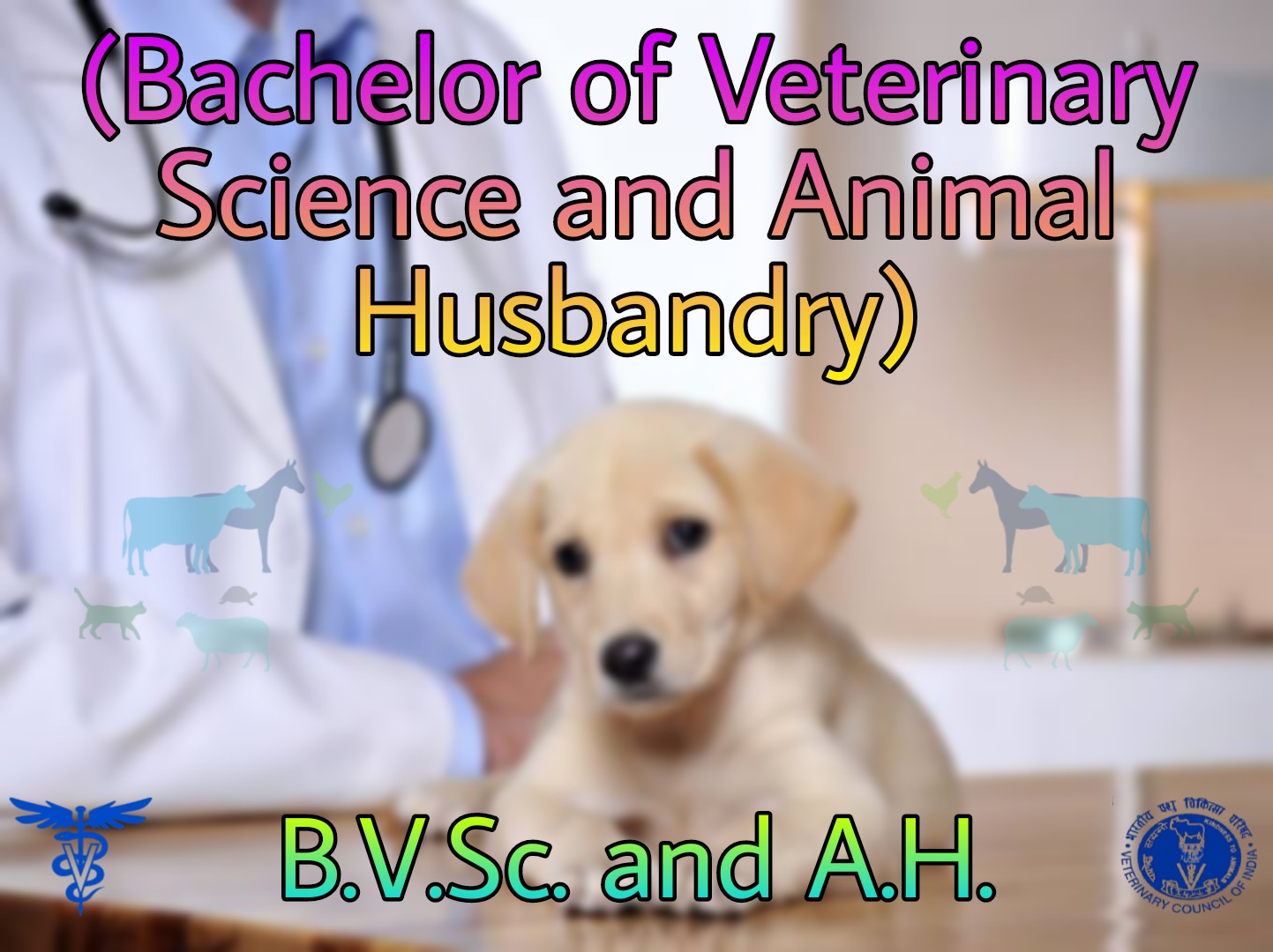 Bachelor of Veterinary Science and Animal Husbandry