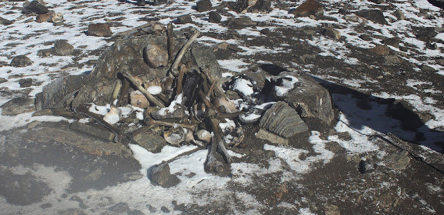 Spacing Places Bones Of Contention The Intriguing Tale Of Roopkund S Ancient Skeletons