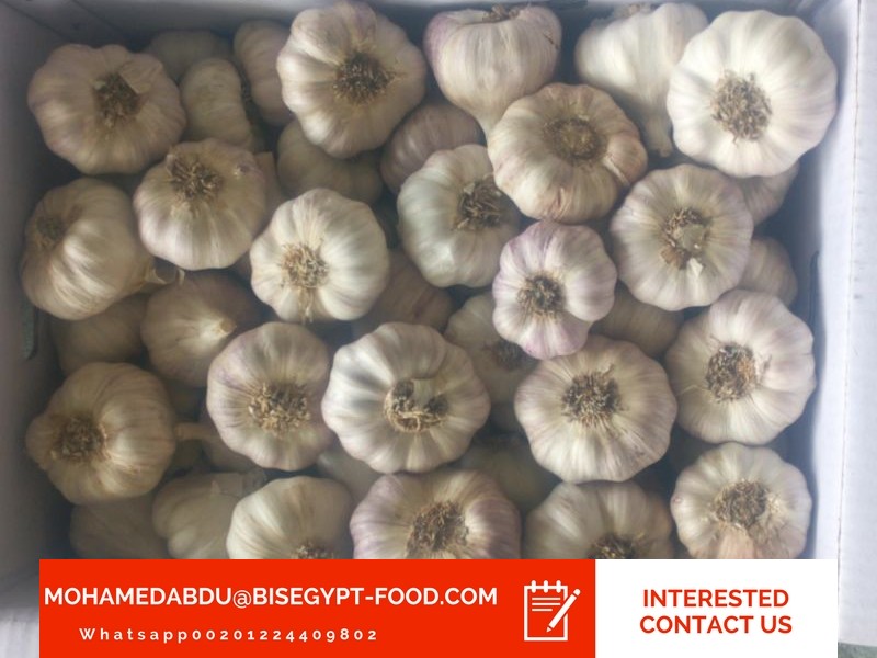 garlic market in vadugapatti