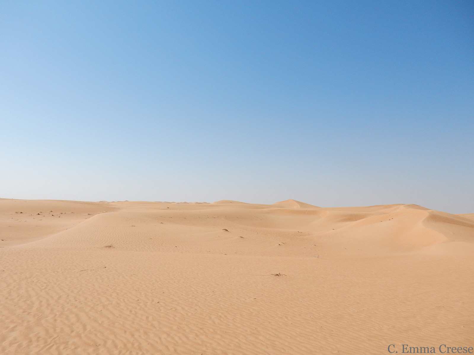 Dubai and Abu Dhabi 10 experiences you must have! Adventures of a London Kiwi