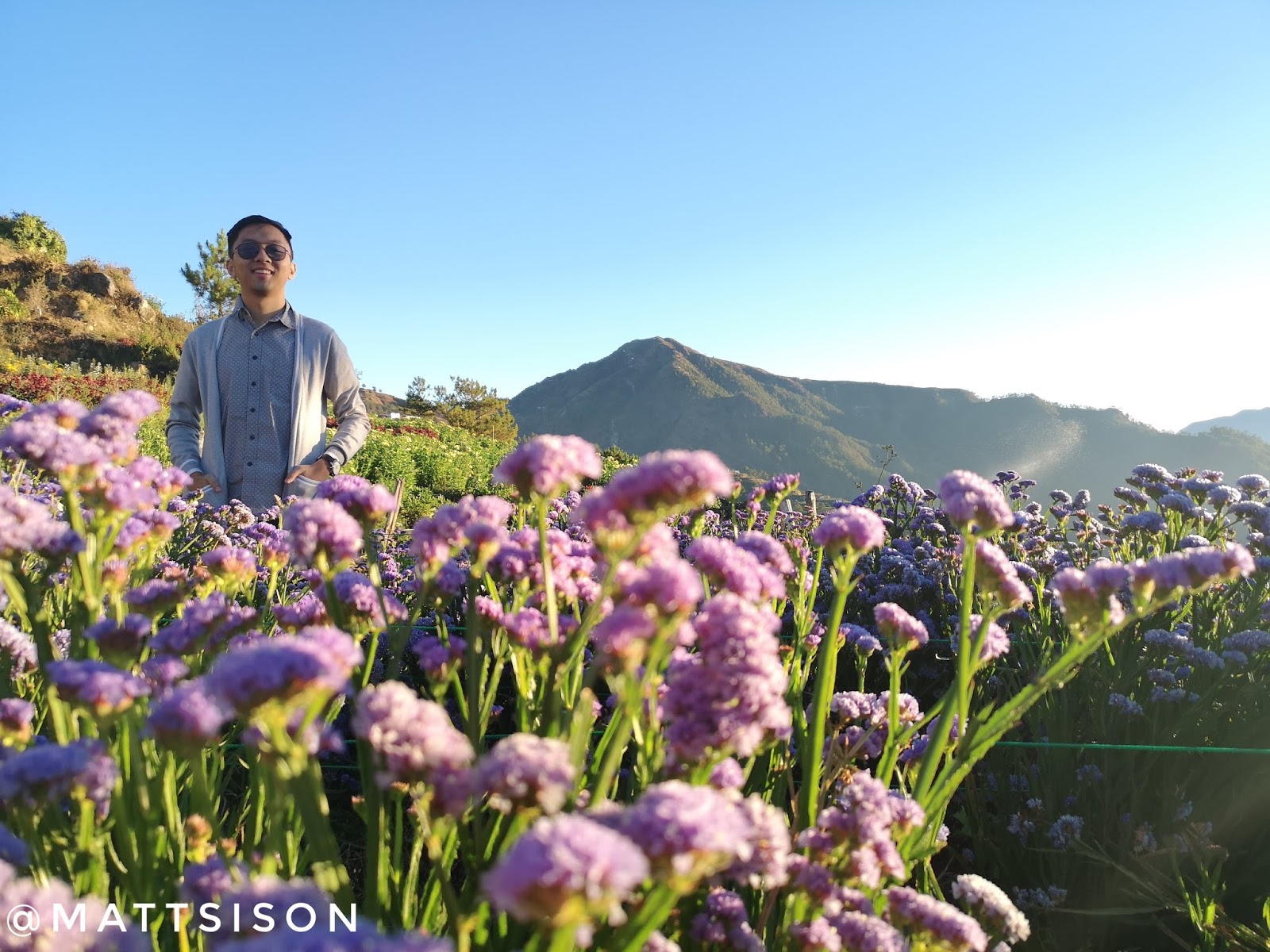 Flower Farm In Baguio City Best Flower Site