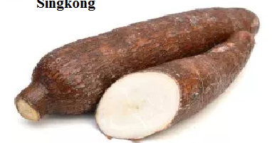 Sehat Buah Singkong Ubi Kayu