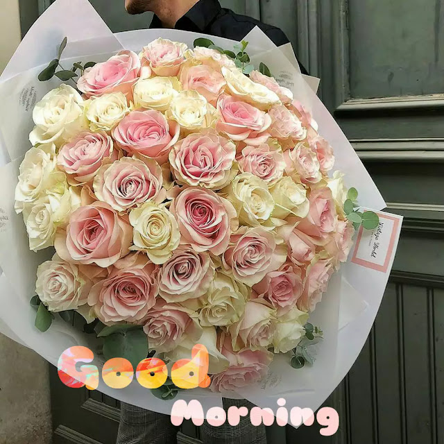 good morning flowers images download