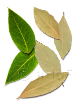 Bay Leaves, Fresh herb, Dried herb