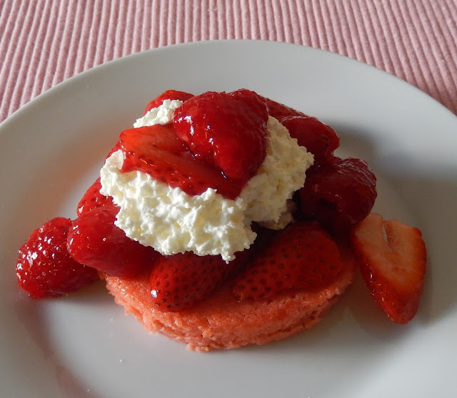 Strawberry Protein Powder Sugar Free Dessert Recipes