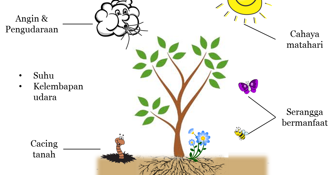 5 Faktor yang Mempengaruhi Perkembangan Tanaman Anda