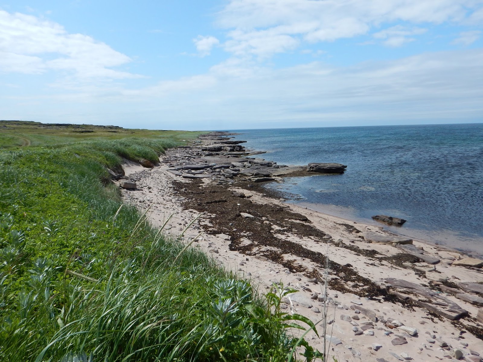 Roger en Voyage Voyage à TerreNeuveetLabrador, Dimanche 21 Juillet
