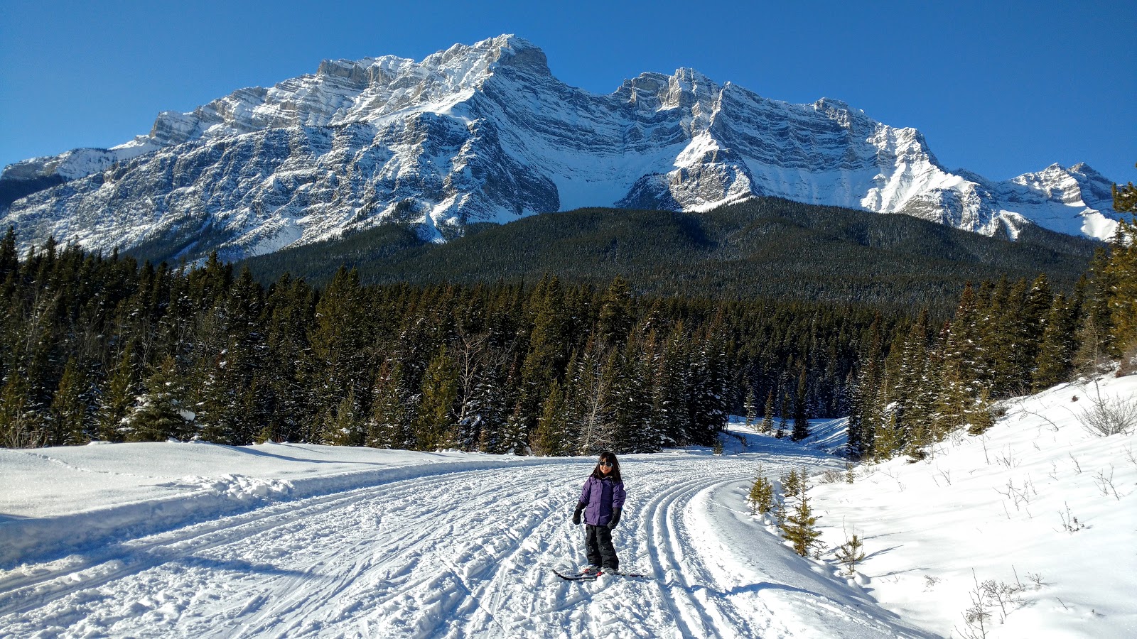 play cross country canada 2 online free play cross country canada 2 online free