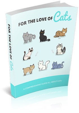 For The Love Of Cats