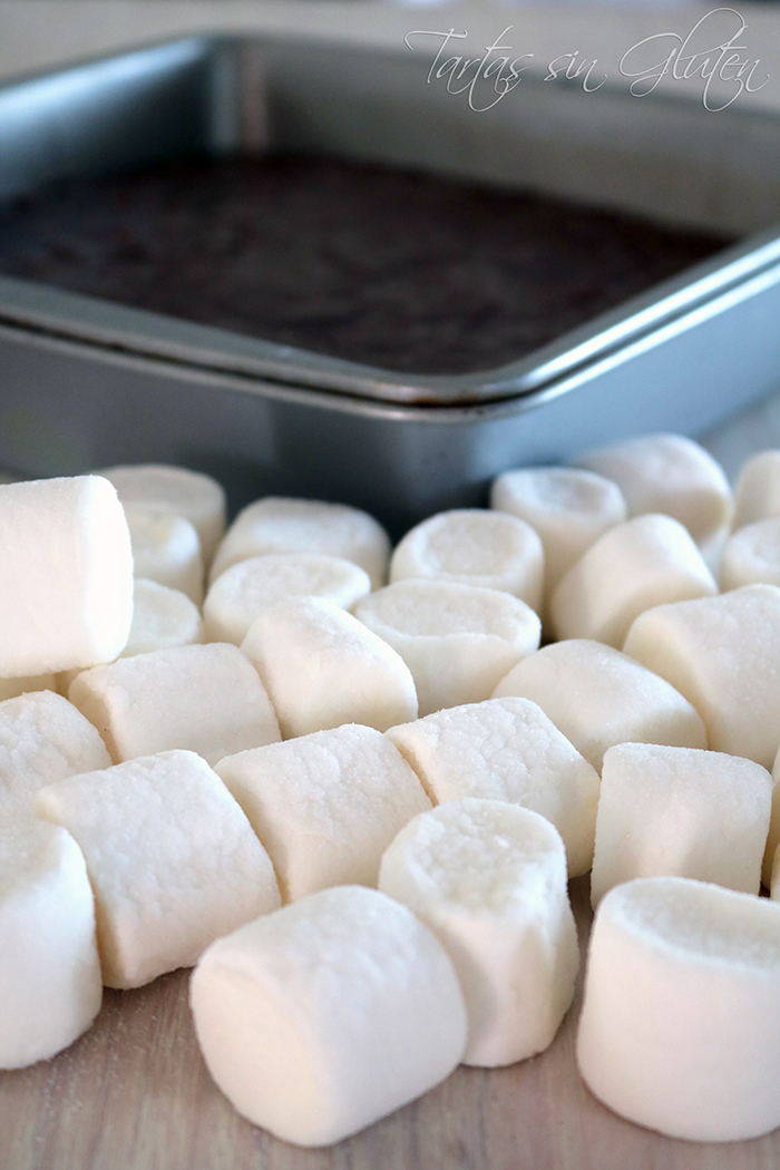 Tartas sin Gluten..365 dias sin gluten Brownie de Chocolate con