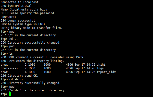 debian install ftp debian install ftp