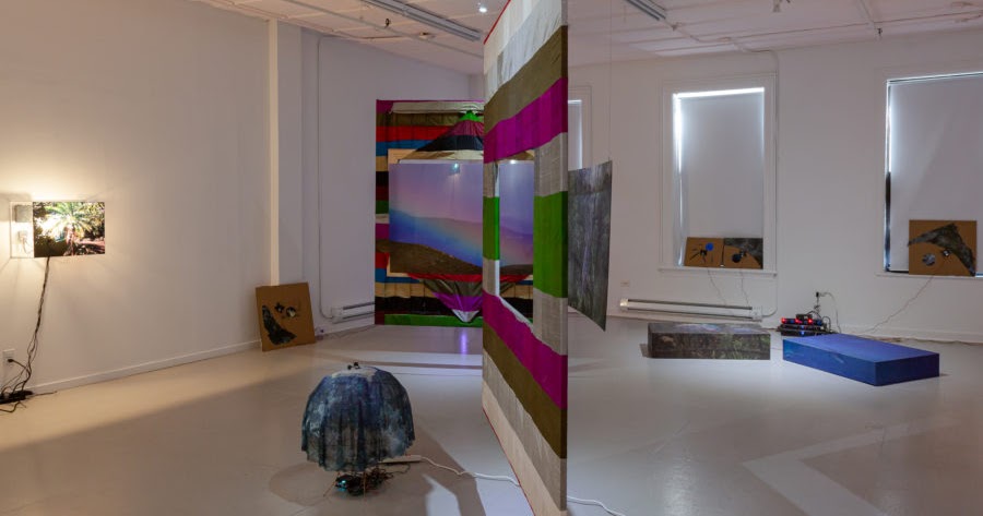 Daily Lazy Insane In The Membrane At Sammlung Philara Duesseldorf