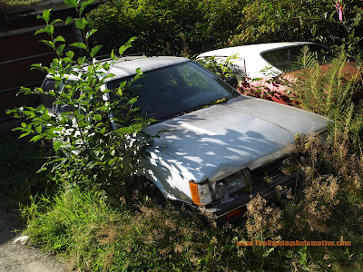 abandoned 1980s subaru gl ketchikan alaska rotting in style