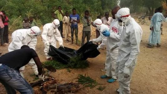 e Graphic: Three suicide bombers killed in foiled attacks in Borno State