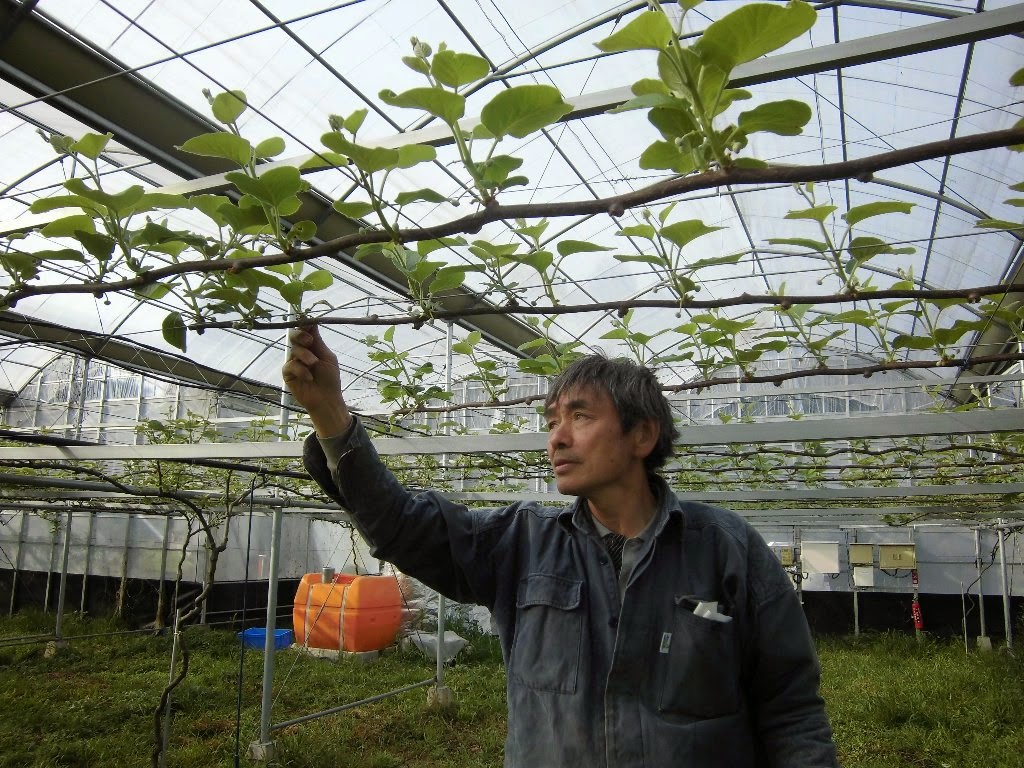 Займ на киви в Казахстане, взять займ на киви