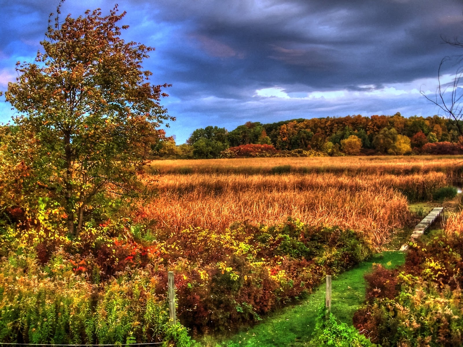 Salmon Creek in Hilton, NY