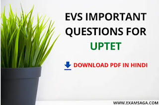 EVS Important Questions For UPTET |REET|TET 1 EXAMSAGA