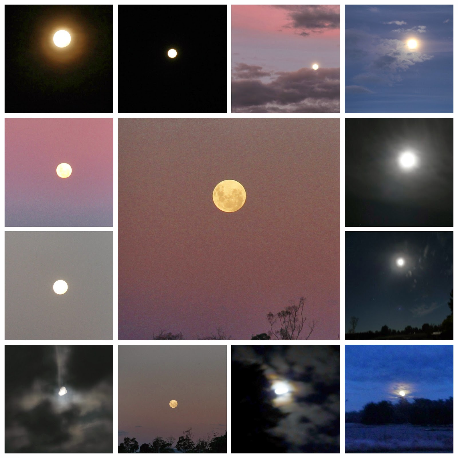 Twelve moons. Разные цвета Луны. Какого цвета Луна. 48 Оттенков Луны. Фотографии Луны разных цветов.