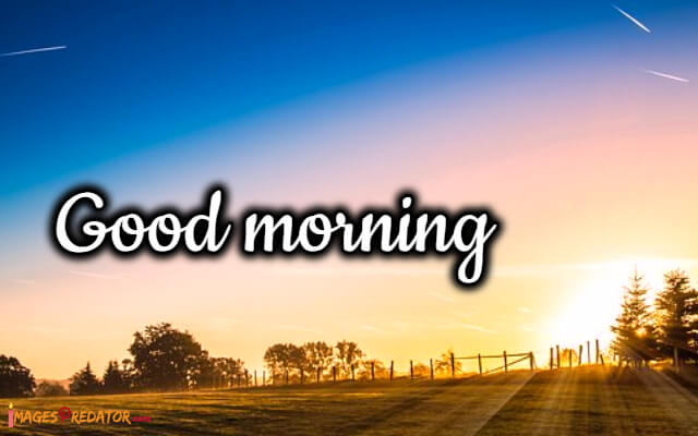 images of Good Morning