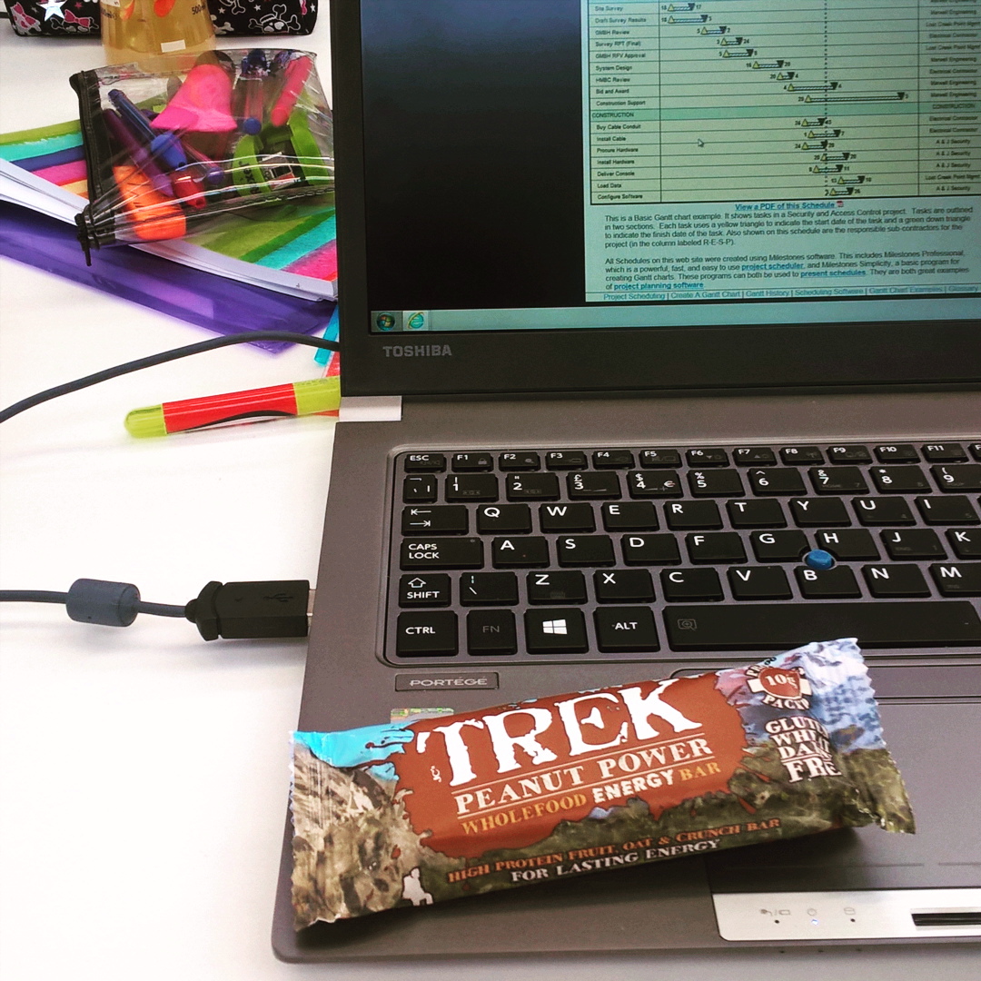 Veg Out Trek Bars